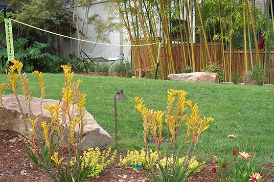 1140-native-bentgrass-1.jpg Native Bentgrass