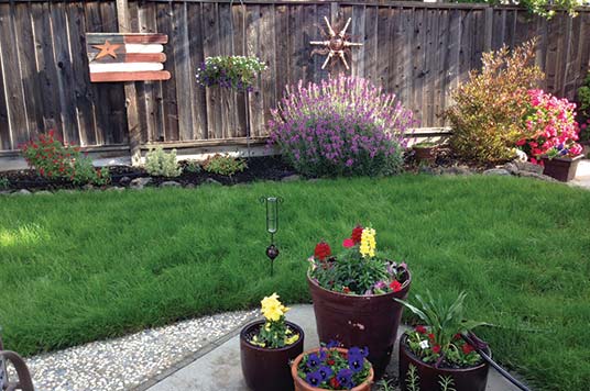 Delta Grassland Mix