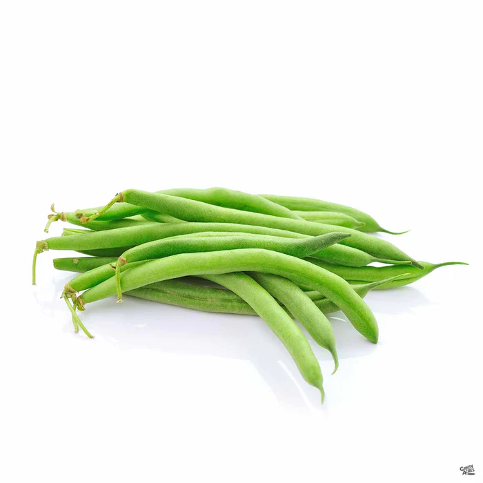 Pole Bean 'Blue Lake'