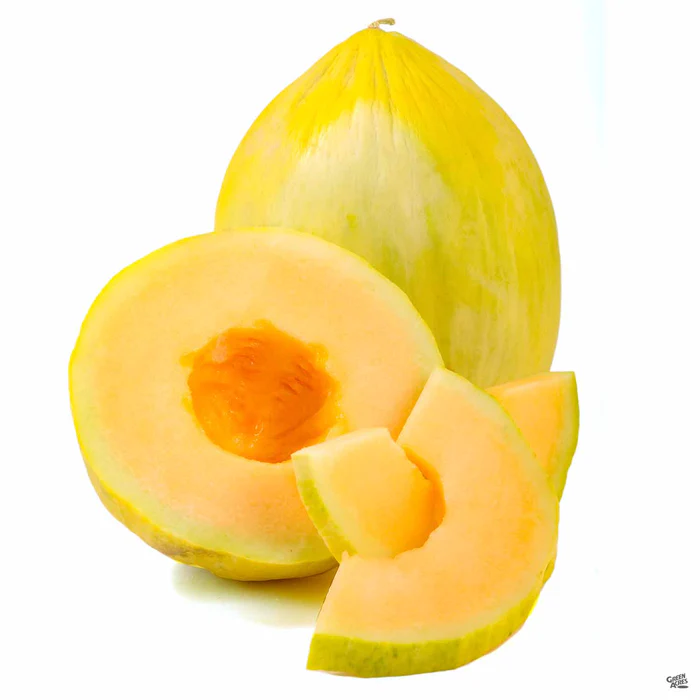 1308-melon-crenshaw-1.webp Melon 'Crenshaw'