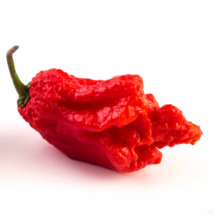 1328-pepper-carolina-reaper-1.webp Pepper 'Carolina Reaper'