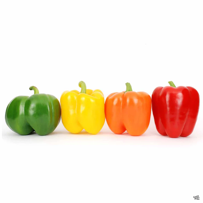 Pepper 'Yellow Bell'
