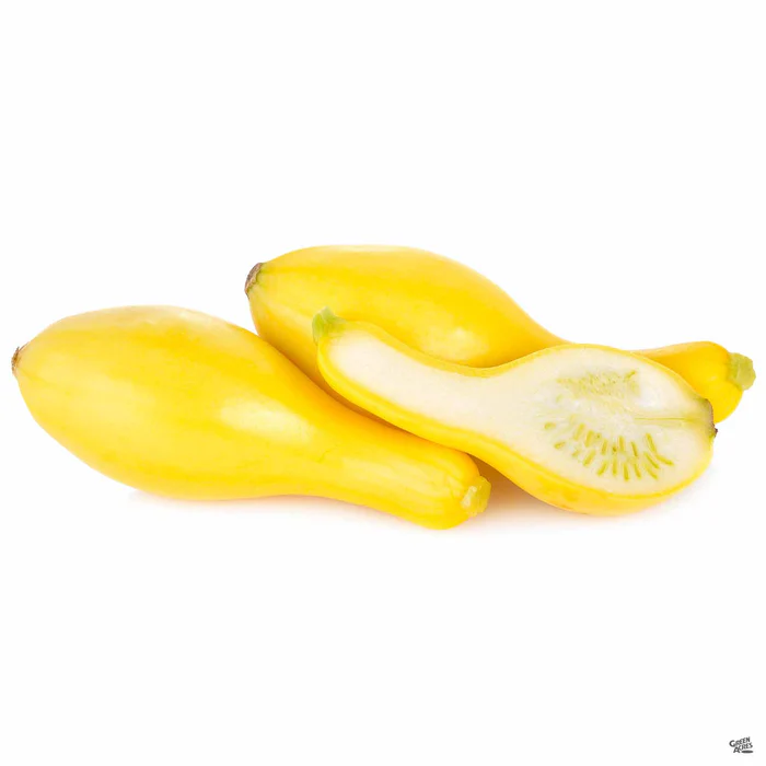 1402-squash-yellow-crookneck-1.webp Squash 'Yellow Crookneck'