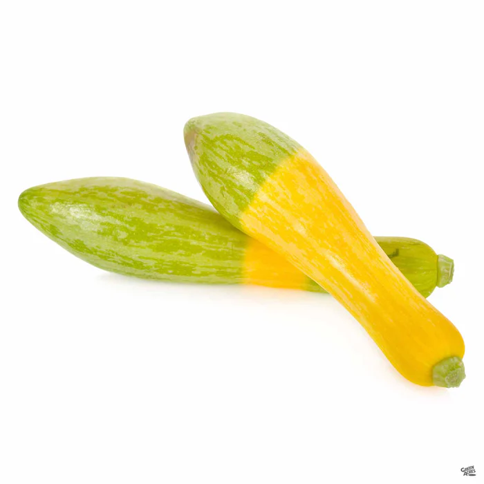 Squash 'Zephyr'