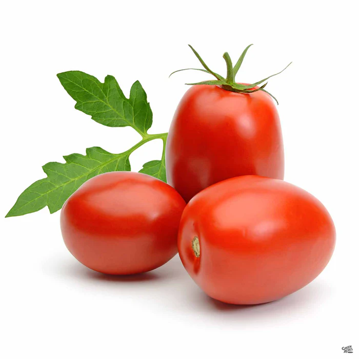 Tomato 'Roma'