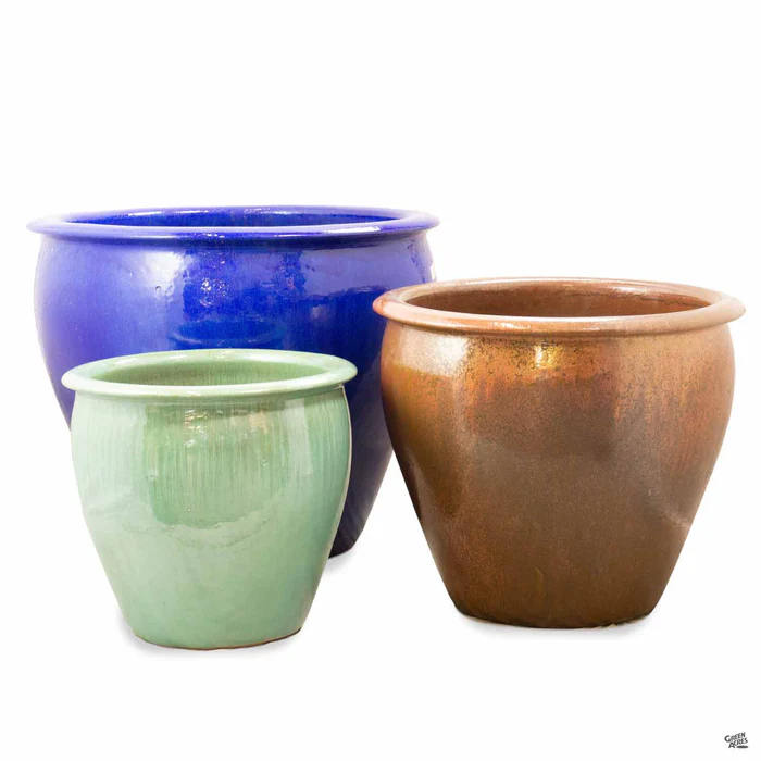 Fish Bowl Pot