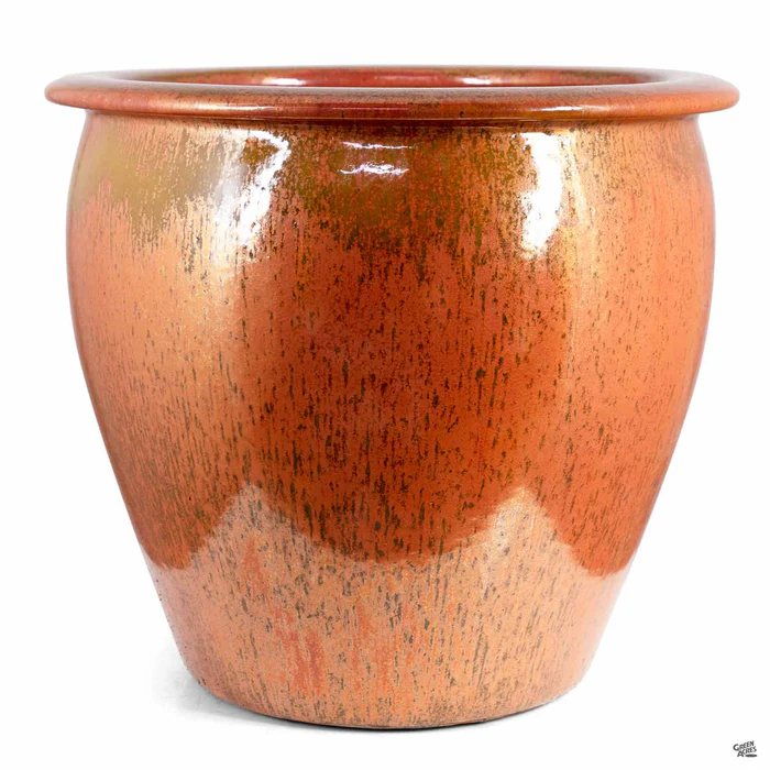 Fish Bowl Pot