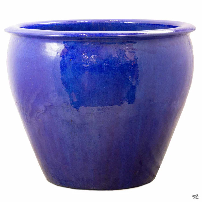 Fish Bowl Pot