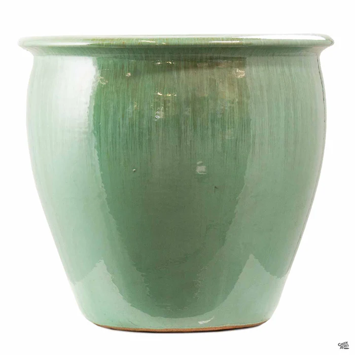Fish Bowl Pot