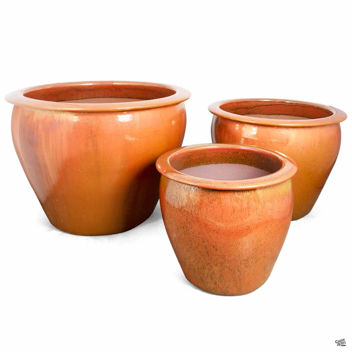 Fish Bowl Pot