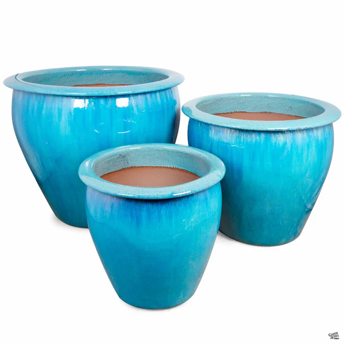 Fish Bowl Pot