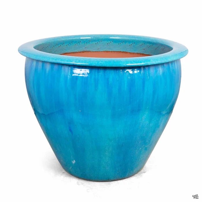 Fish Bowl Pot