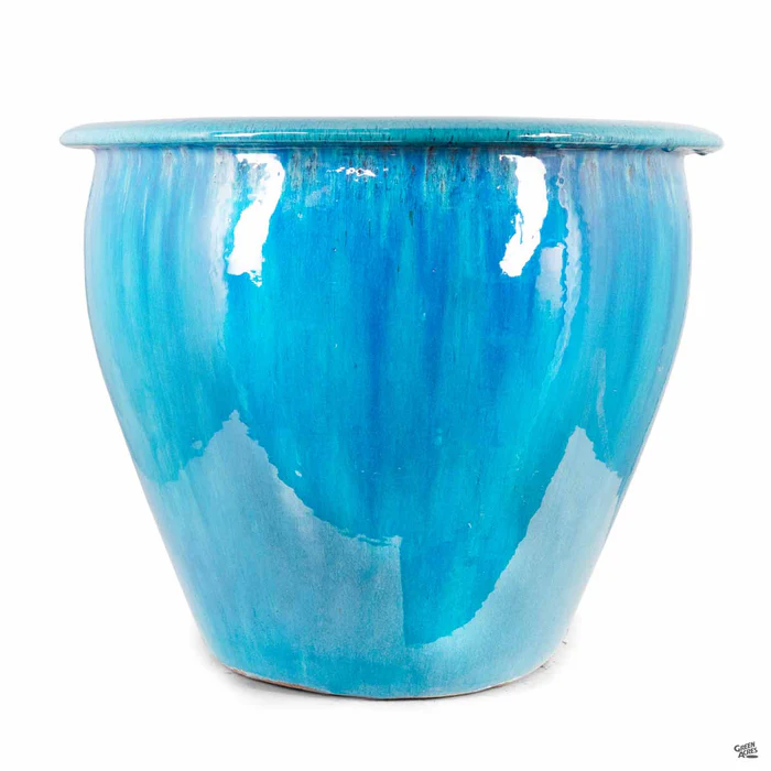 Fish Bowl Pot