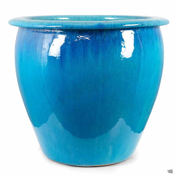 Fish Bowl Pot