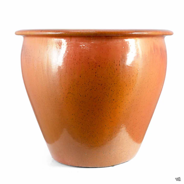 Fish Bowl Pot