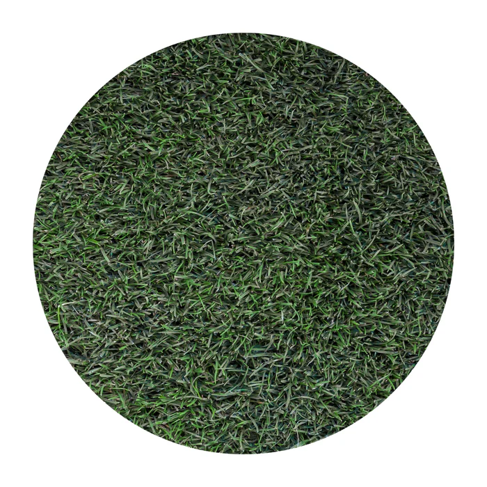 90/10 Tall Fescue