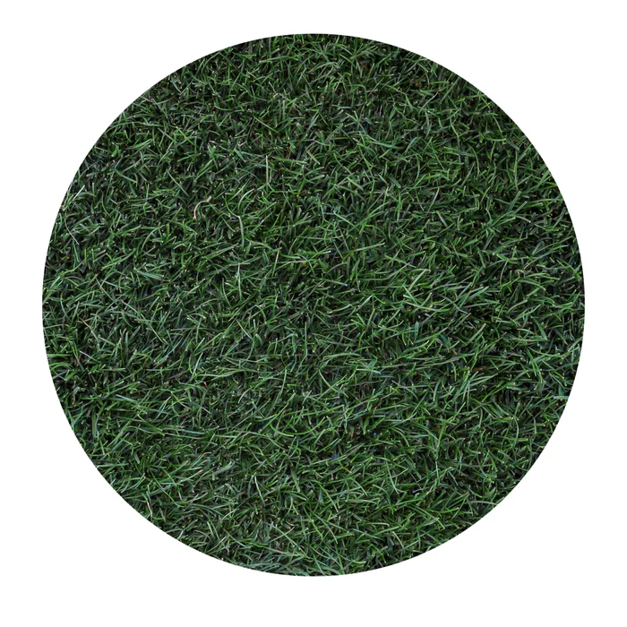 1959-ryegrass-1.webp Ryegrass