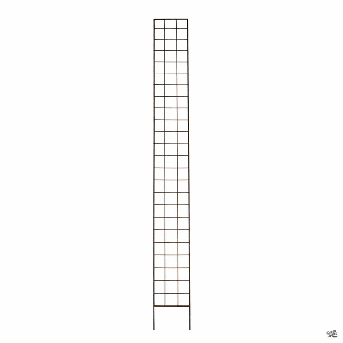 2067-trellis-rustic-flat-5.webp Trellis Rustic Flat