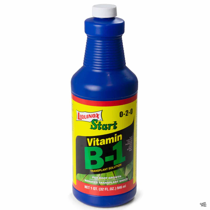 Liquinox Start Vitamin B-1 32 oz Concentrate