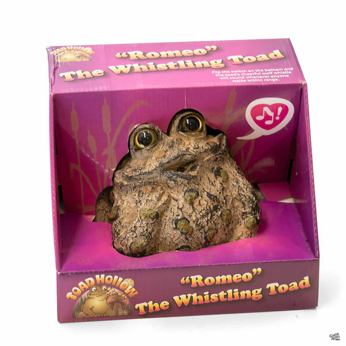 Dreamer Romeo Whistling Toad
