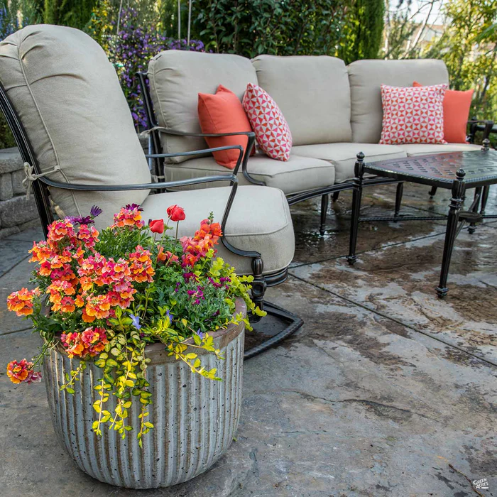 Sunbrella Outdoor All-Weather Throw Pillow | Array Sangria