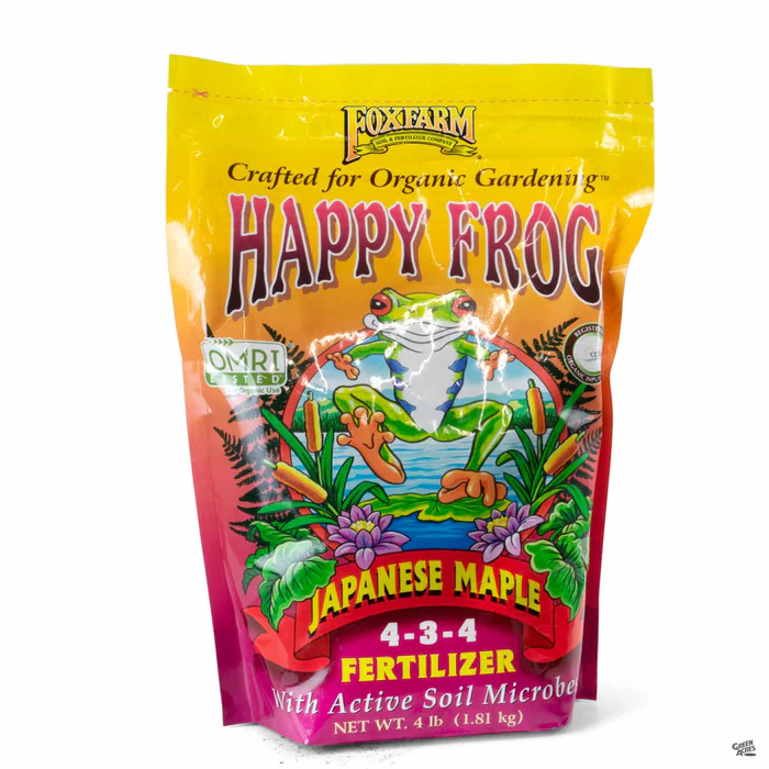 Happy Frog Japanese Maple