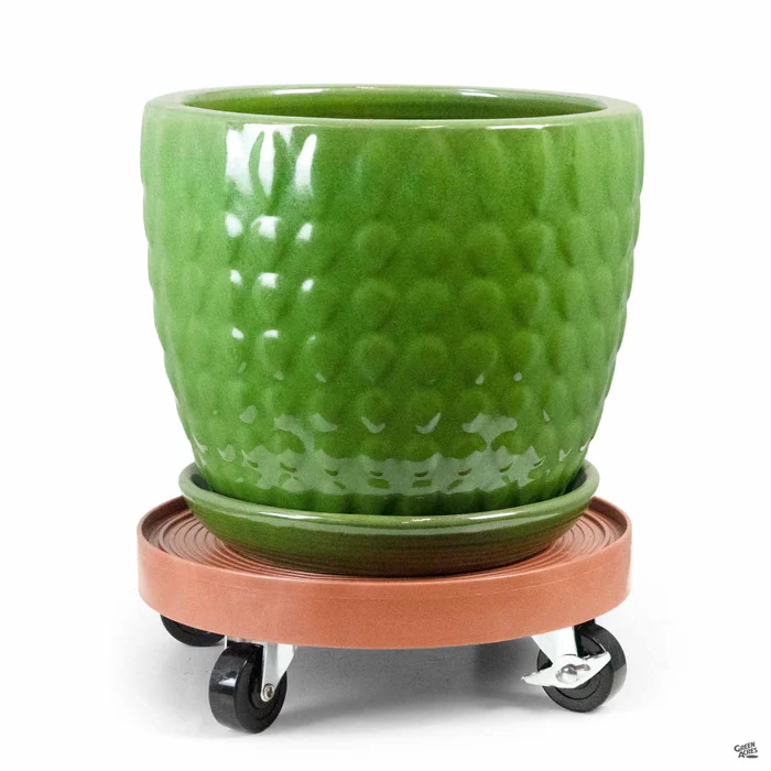Devault Plant Dolly