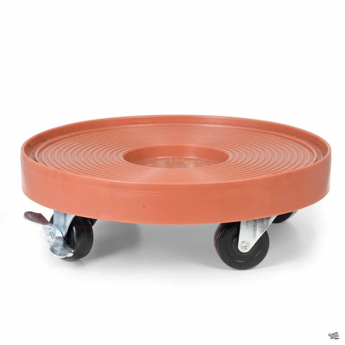 2309-devault-plant-dolly-2.webp Devault Plant Dolly