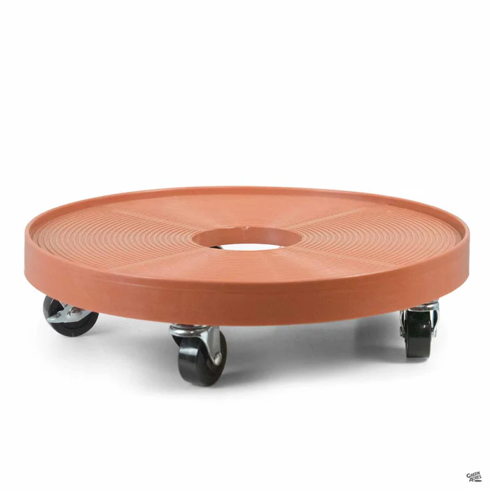 2309-devault-plant-dolly-3.webp Devault Plant Dolly