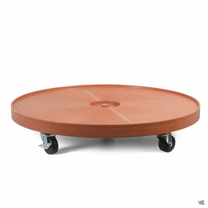 2309-devault-plant-dolly-4.webp Devault Plant Dolly