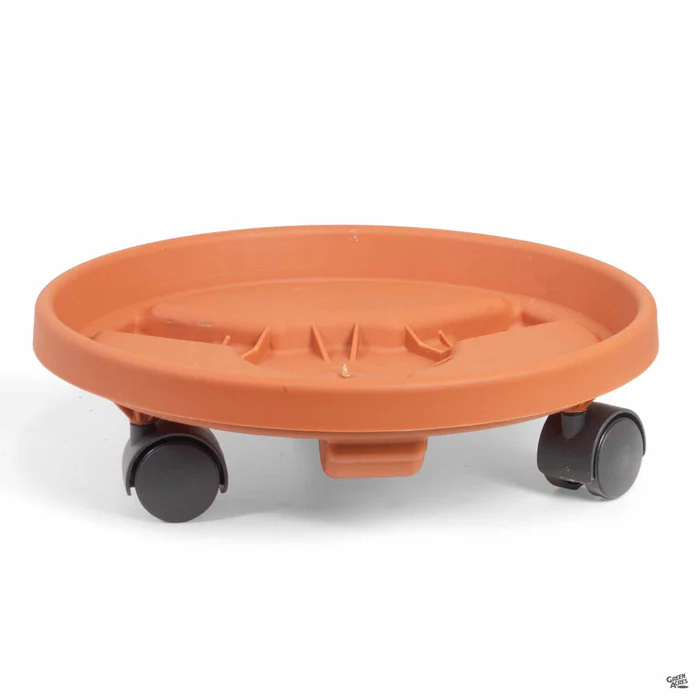2326-bloem-round-plant-caddy-1.webp Bloem Round Plant Caddy
