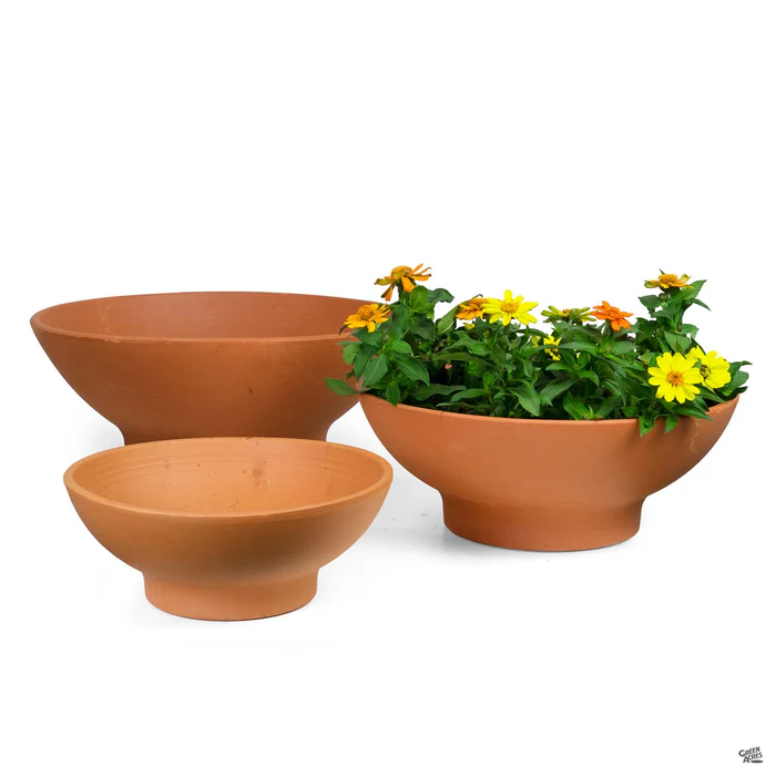 2393-italian-low-bowl-terracotta-1.webp Italian Low Bowl Terracotta