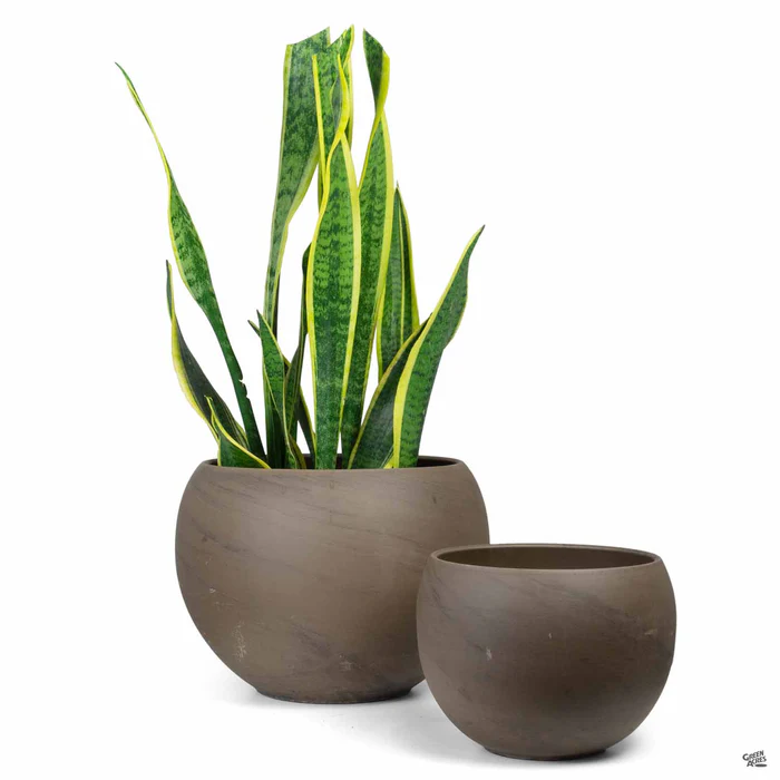 Luna Sphere Basalt Clay Pot