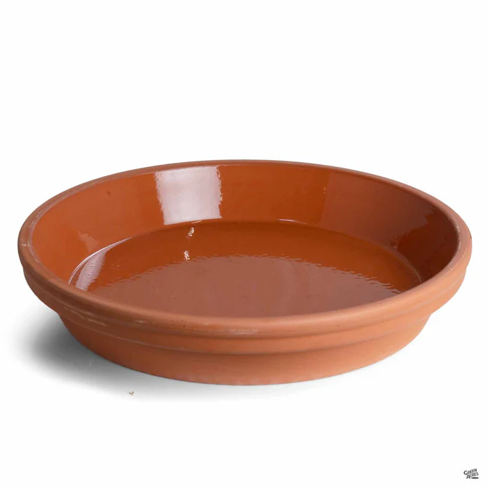 2475-german-clay-saucer-terracotta-10.webp German Clay Saucer Terracotta