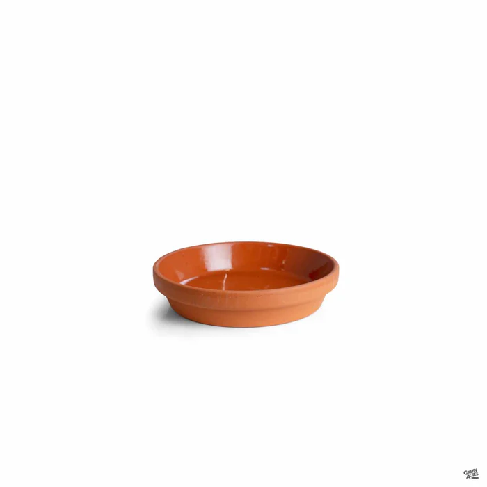 2475-german-clay-saucer-terracotta-5.webp German Clay Saucer Terracotta
