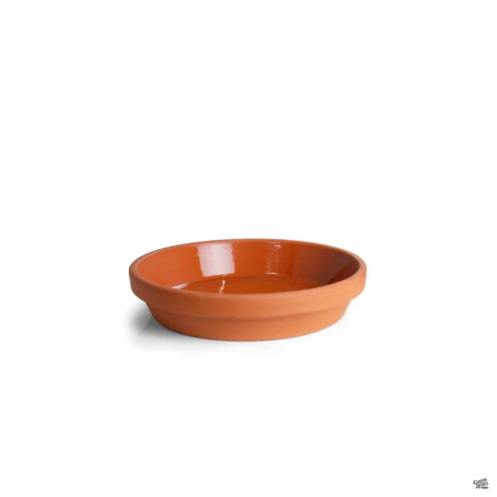 2475-german-clay-saucer-terracotta-6.webp German Clay Saucer Terracotta
