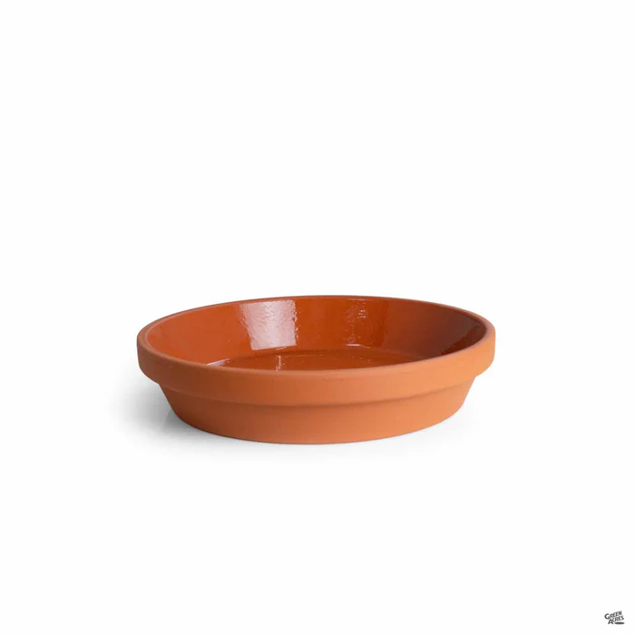 2475-german-clay-saucer-terracotta-7.webp German Clay Saucer Terracotta