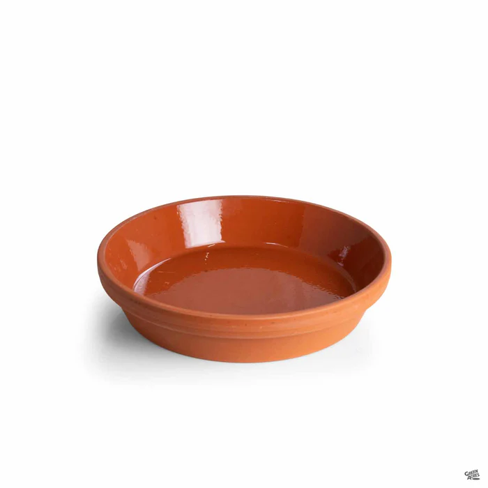 2475-german-clay-saucer-terracotta-8.webp German Clay Saucer Terracotta