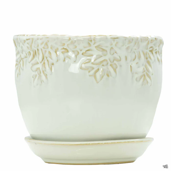 248-ivy-league-jardiniere-4.webp Ivy League Jardiniere