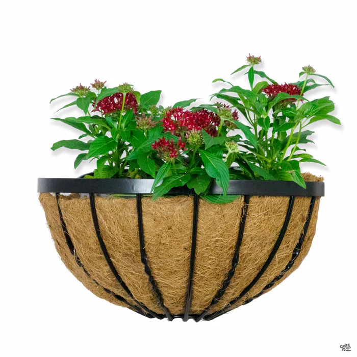 2541-cotswold-window-planter-1.webp Cotswold Window Planter