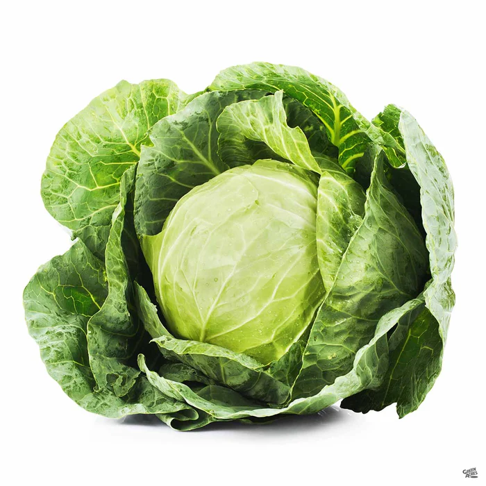 Cabbage ‘Copenhagen’