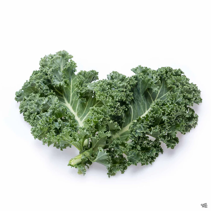 2623-kale-blue-knight-4.webp Kale 'Blue Knight'