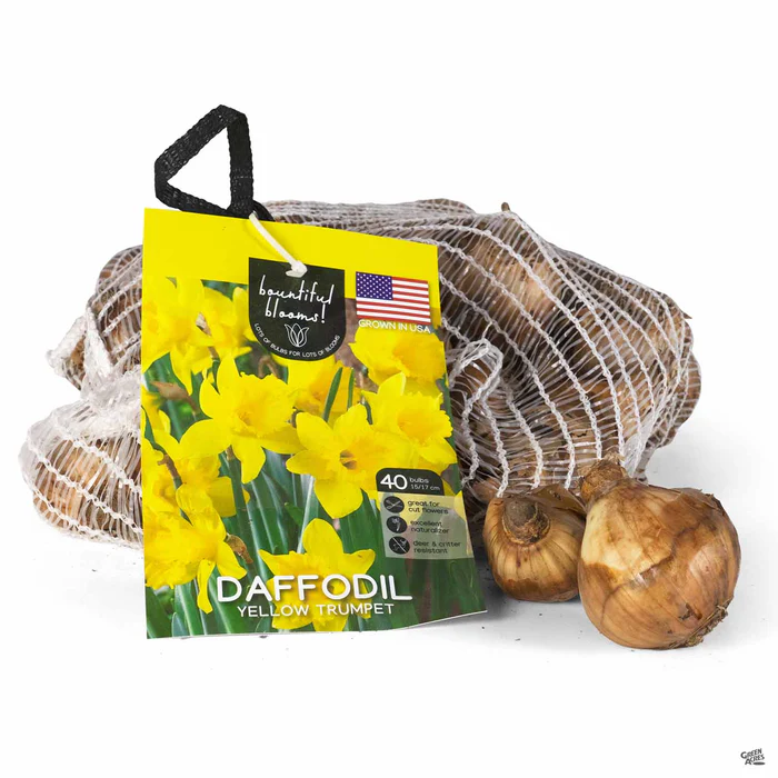 2701-daffodil-yellow-trumpet-1.webp Daffodil 'Yellow Trumpet'
