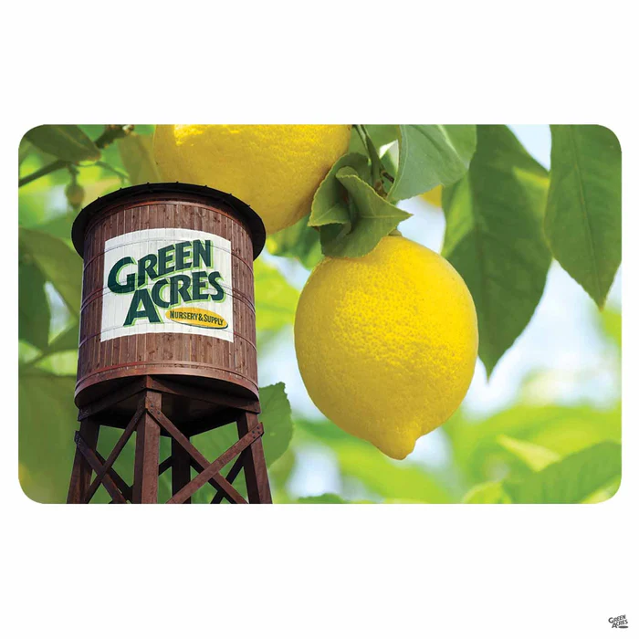 2709-gift-card-california-2.webp Gift Card | California