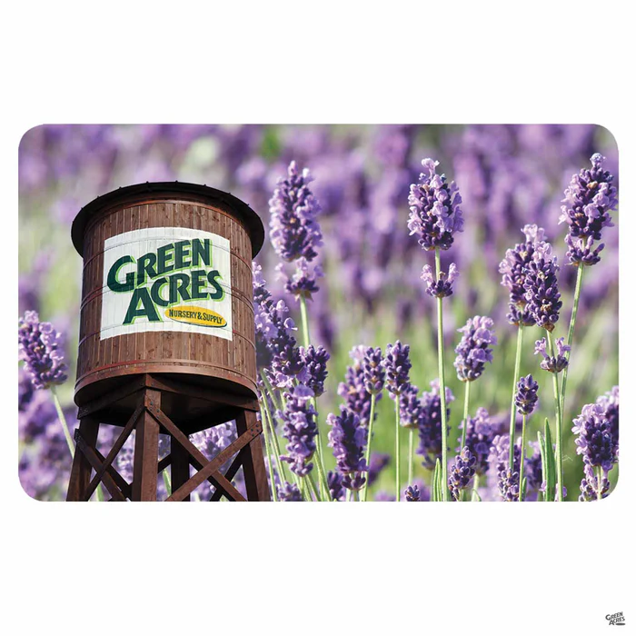 2709-gift-card-california-3.webp Gift Card | California