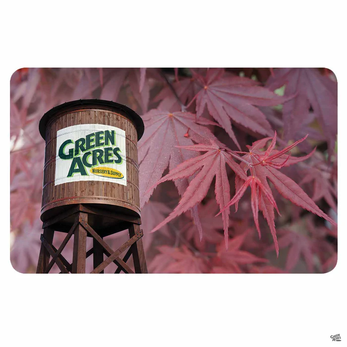2709-gift-card-california-4.webp Gift Card | California