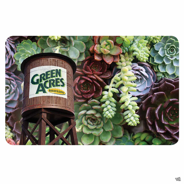 2709-gift-card-california-5.webp Gift Card | California