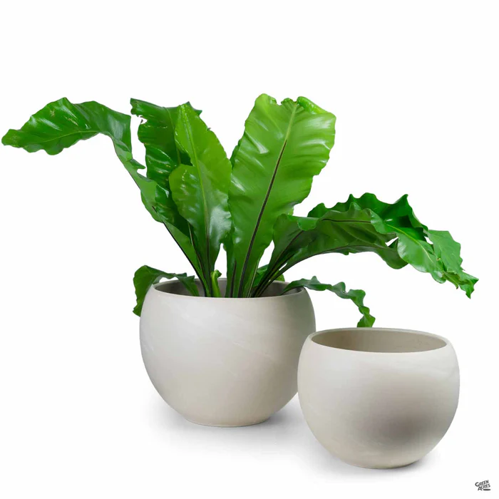 Luna Sphere Granite Clay Pot