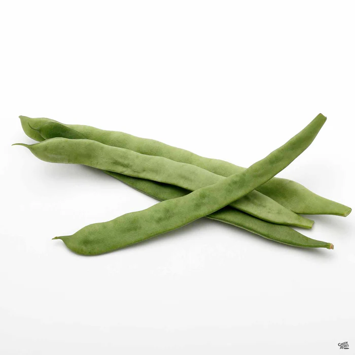 2854-pole-bean-romano-2.webp Pole Bean 'Romano'
