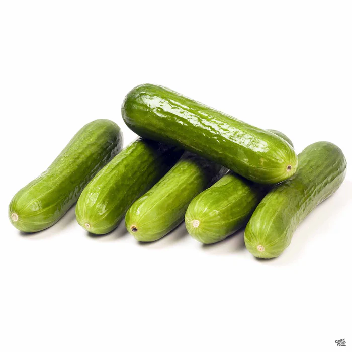 2861-cucumber-persian-1.webp Cucumber 'Persian'
